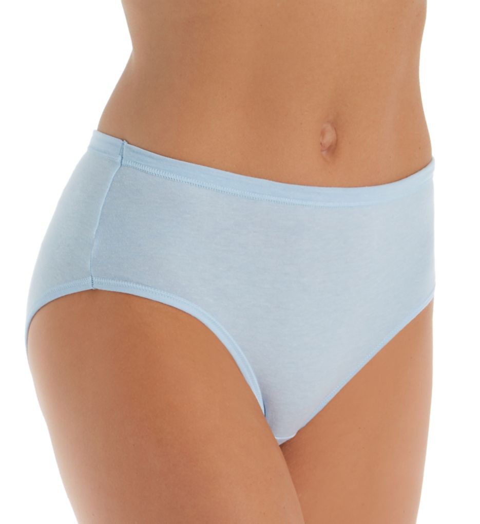 hanes plus size panties